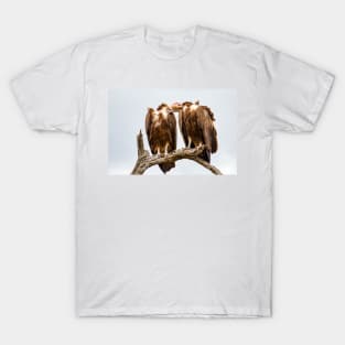 Vulture Couple is Caressing Each Other - Kruger National Park T-Shirt